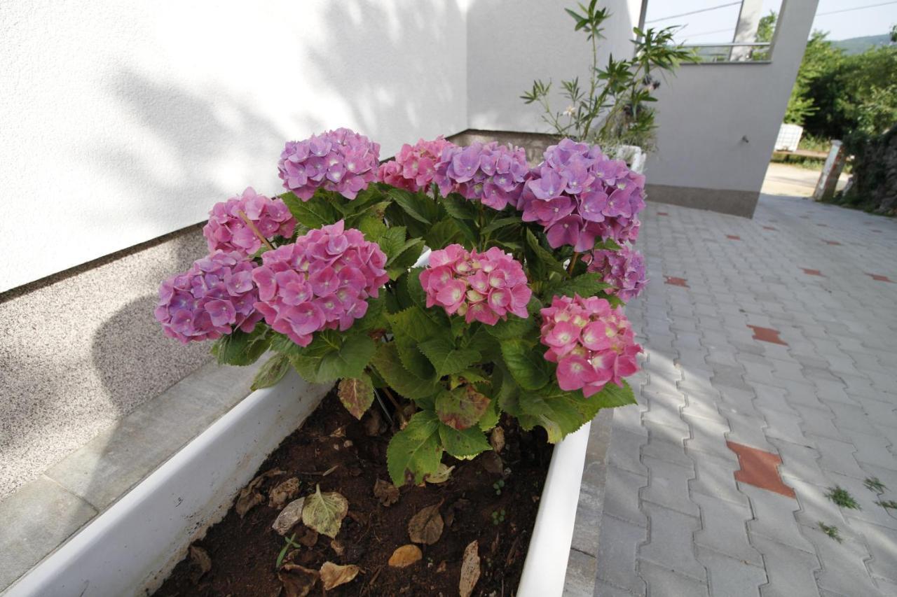 Čižići Apartments Klaudija מראה חיצוני תמונה